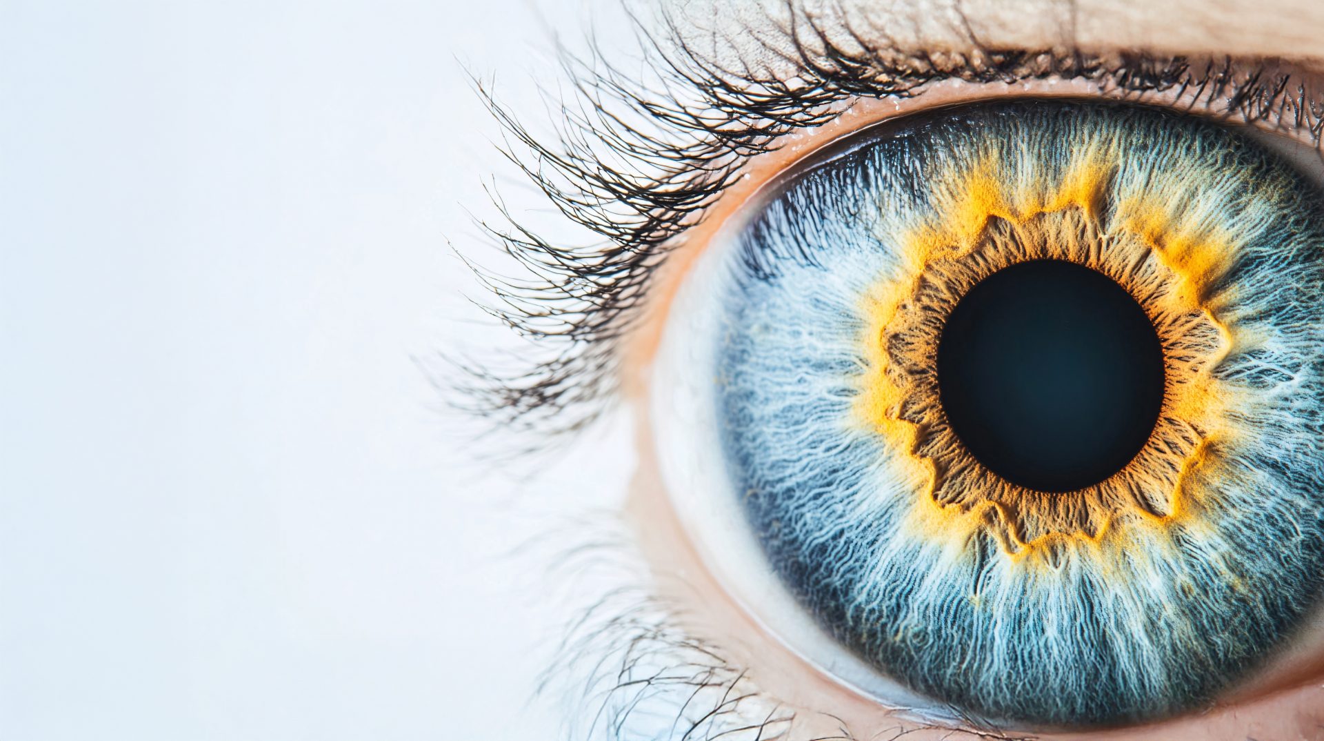Close-Up of a Human Eye: A Captivating Macro Portrait
